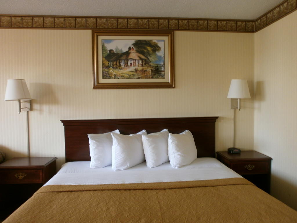 stayAPT Suites Alexandria-Fort Belvoir Quarto foto